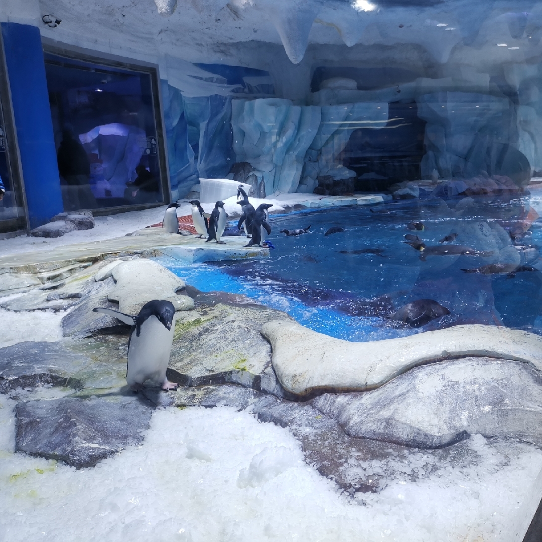 海阔天空小龙虾