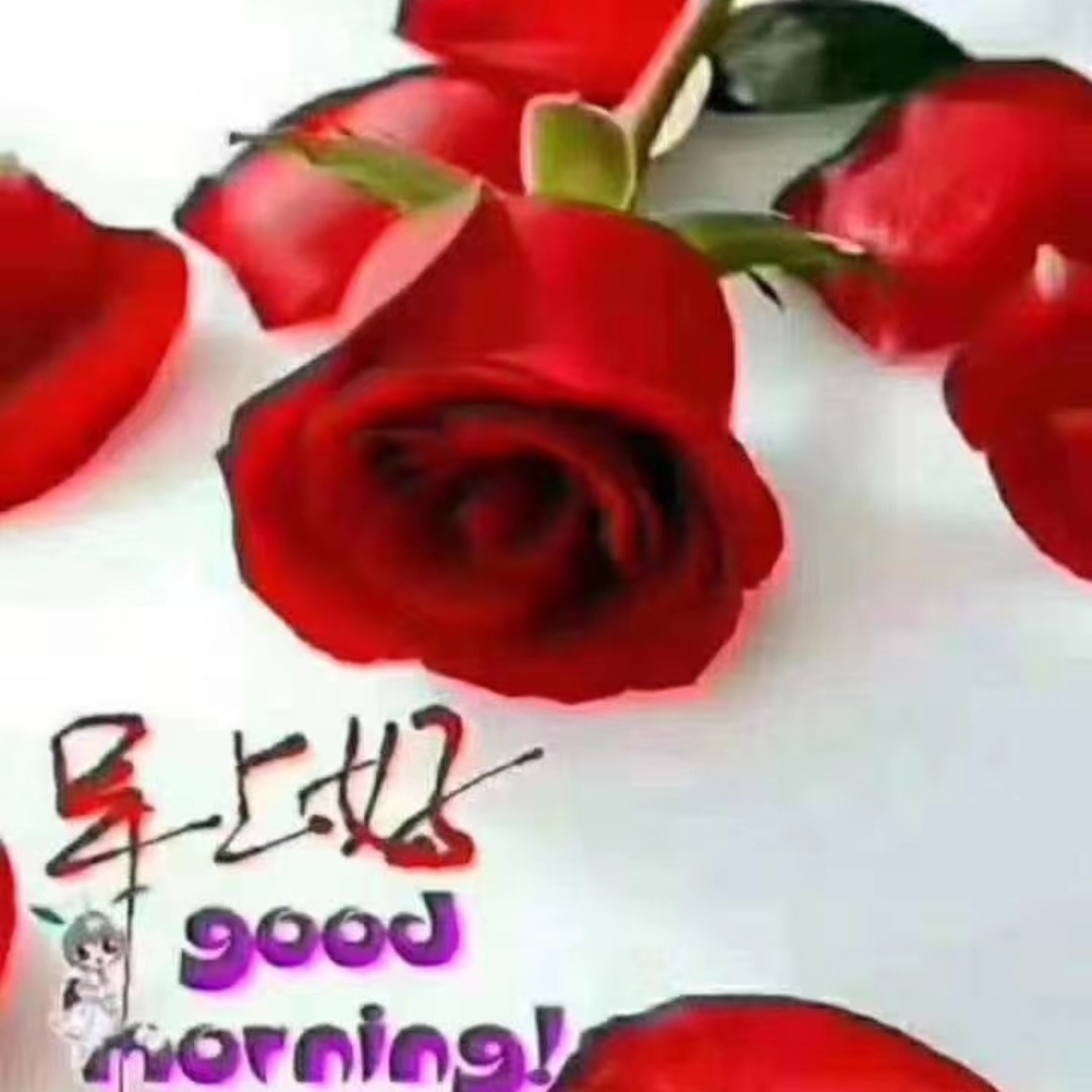 钟爱一生66m(__)m