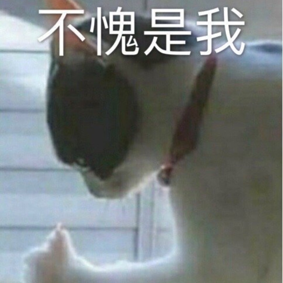 瑞瑞小天使201536