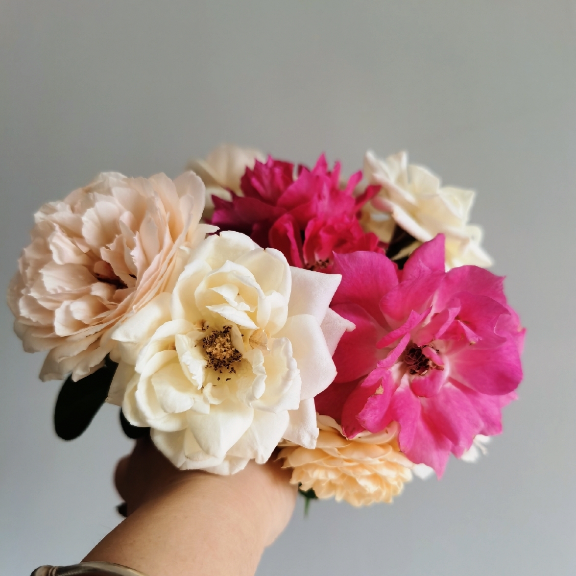 tiantian天官赐福