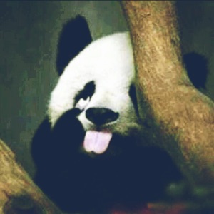 举起腿来，我要劫色