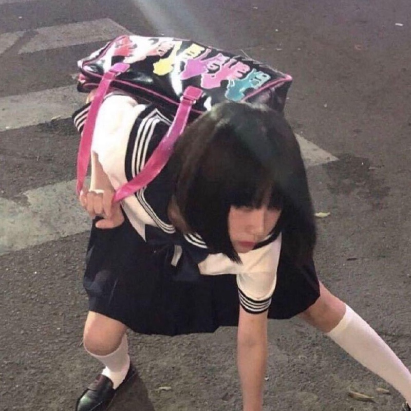 南朝跳舞的贝母