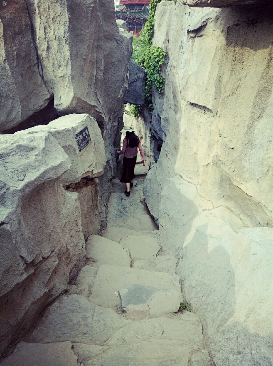 小仙女的仙儿fairy