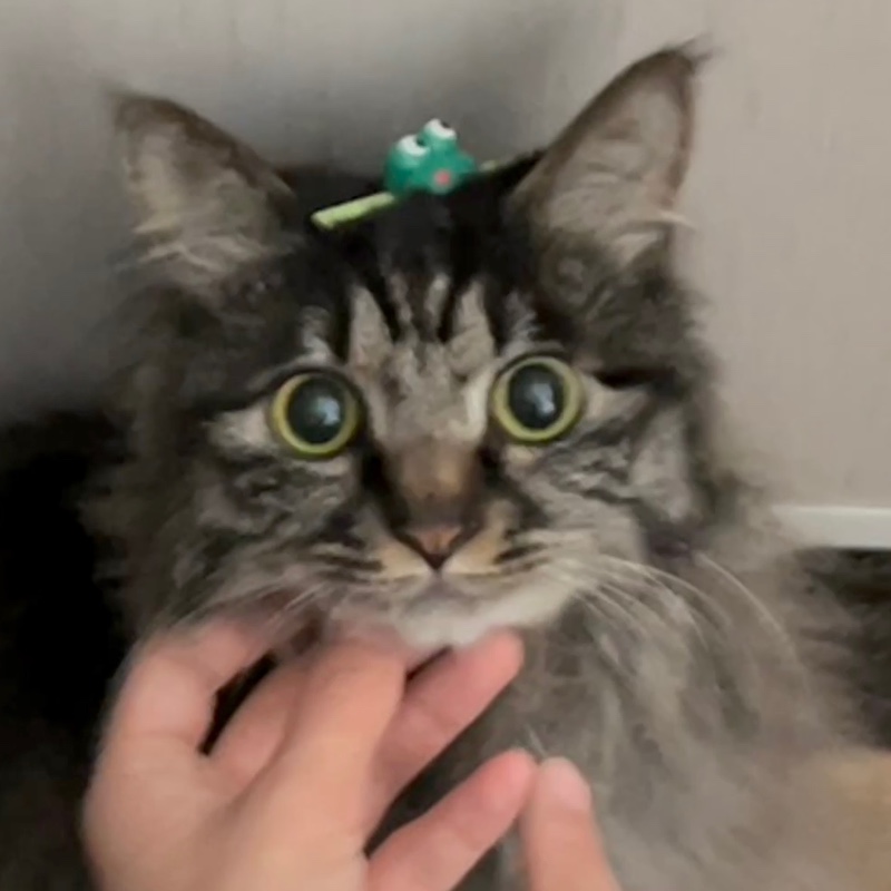 出门带着游泳圈