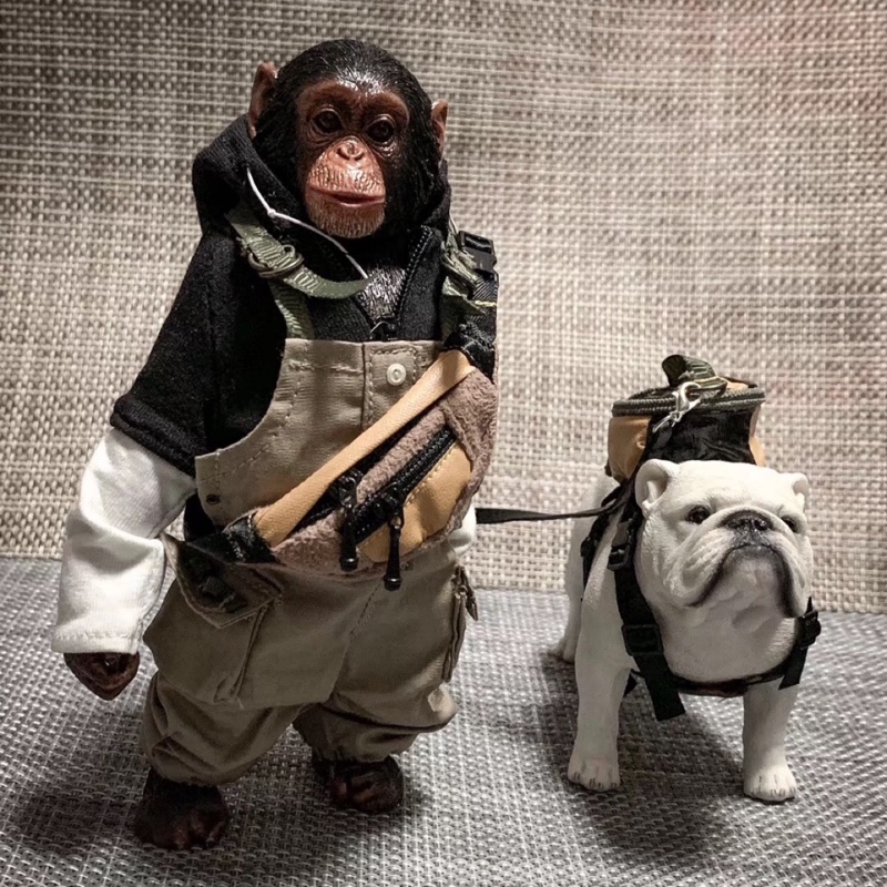 大胃王社会樂哥