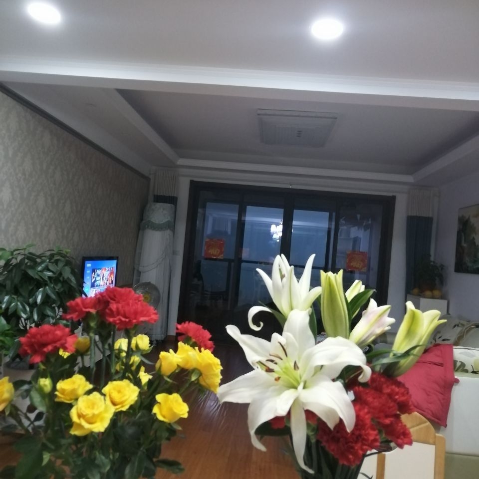 爱吃被蛋卷的奇异果