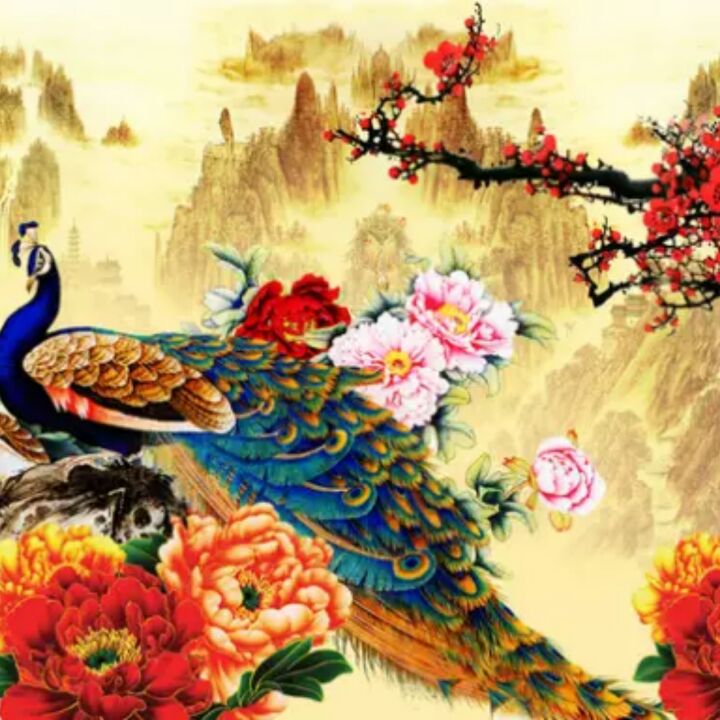 黑色的双花报春