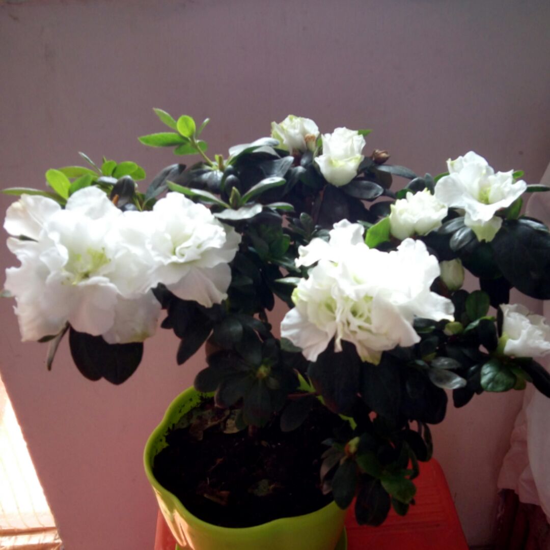 一吻天荒～小静静