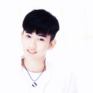 没有朗朗上口的名字了