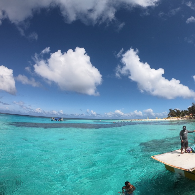 巷尾的梧桐树77