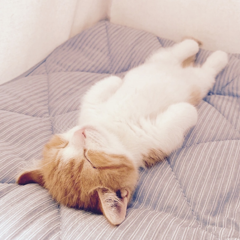 可乐麻麻小瑞瑞