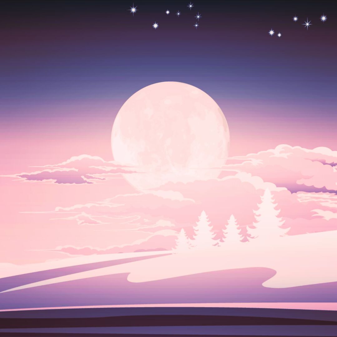 奶茶请加加加糖