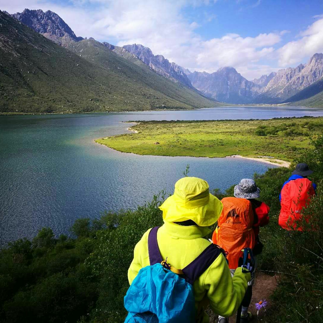 浅绿的三七啊莉