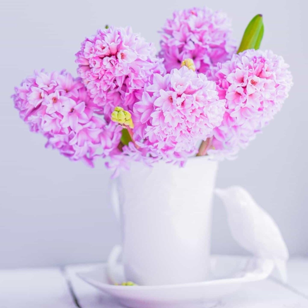 zw好人一生平安