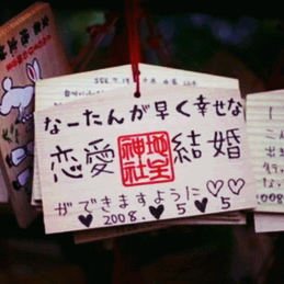 小马小马_小马哥