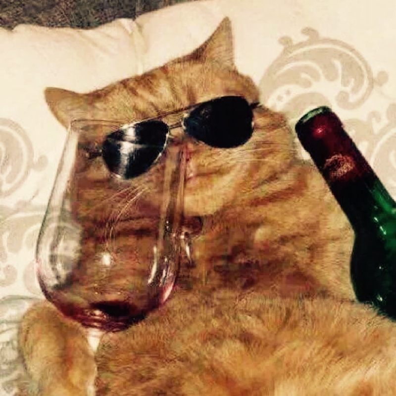 案板街严肃的芝士