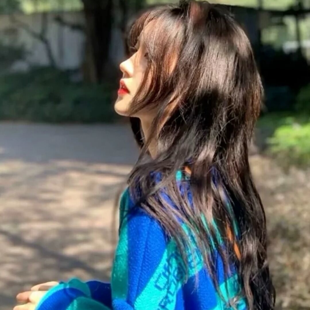 爱吃粉丝烘蛋的蝴蝶