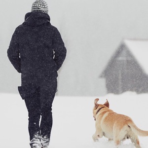 低调做人，高调做事！！