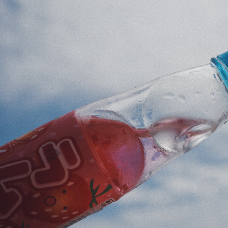 猫猫狗狗要永远在一起