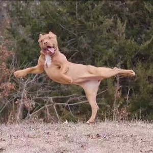 ！我真的不帅！