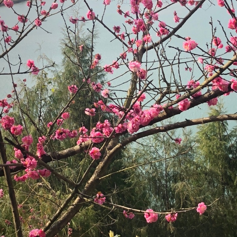 不成文的规定夏天的雪