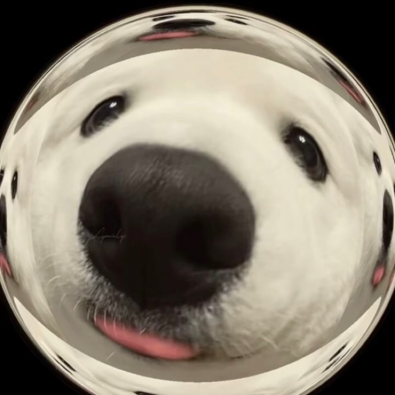 小伟今天不想睡