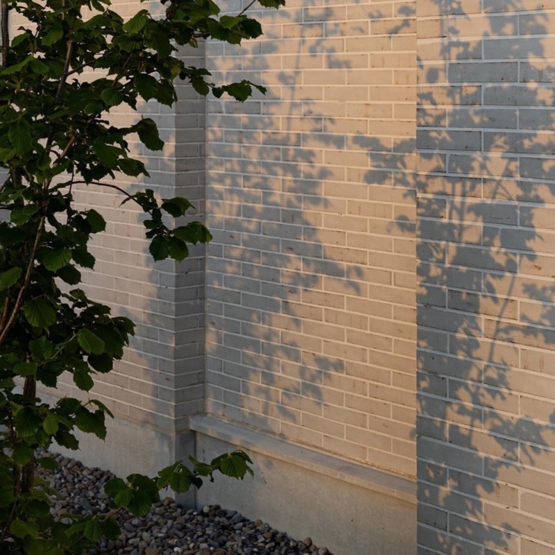 爱吃辣子肉丁的泡面