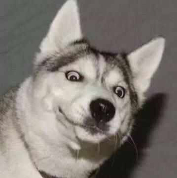 墨紫色的重齿玄参