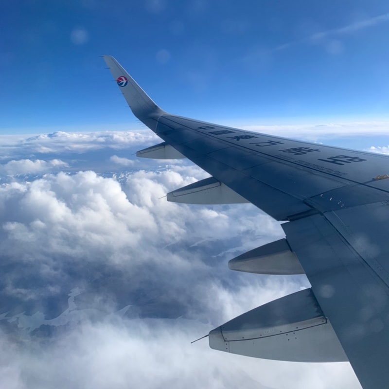 姨新孔雀蓝的丹参