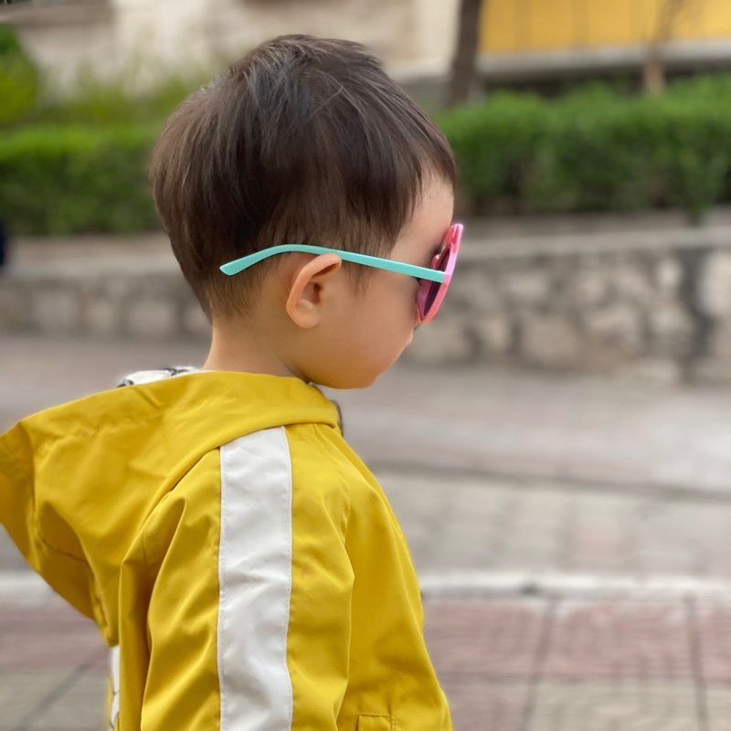 中蓝的胡萝卜叶