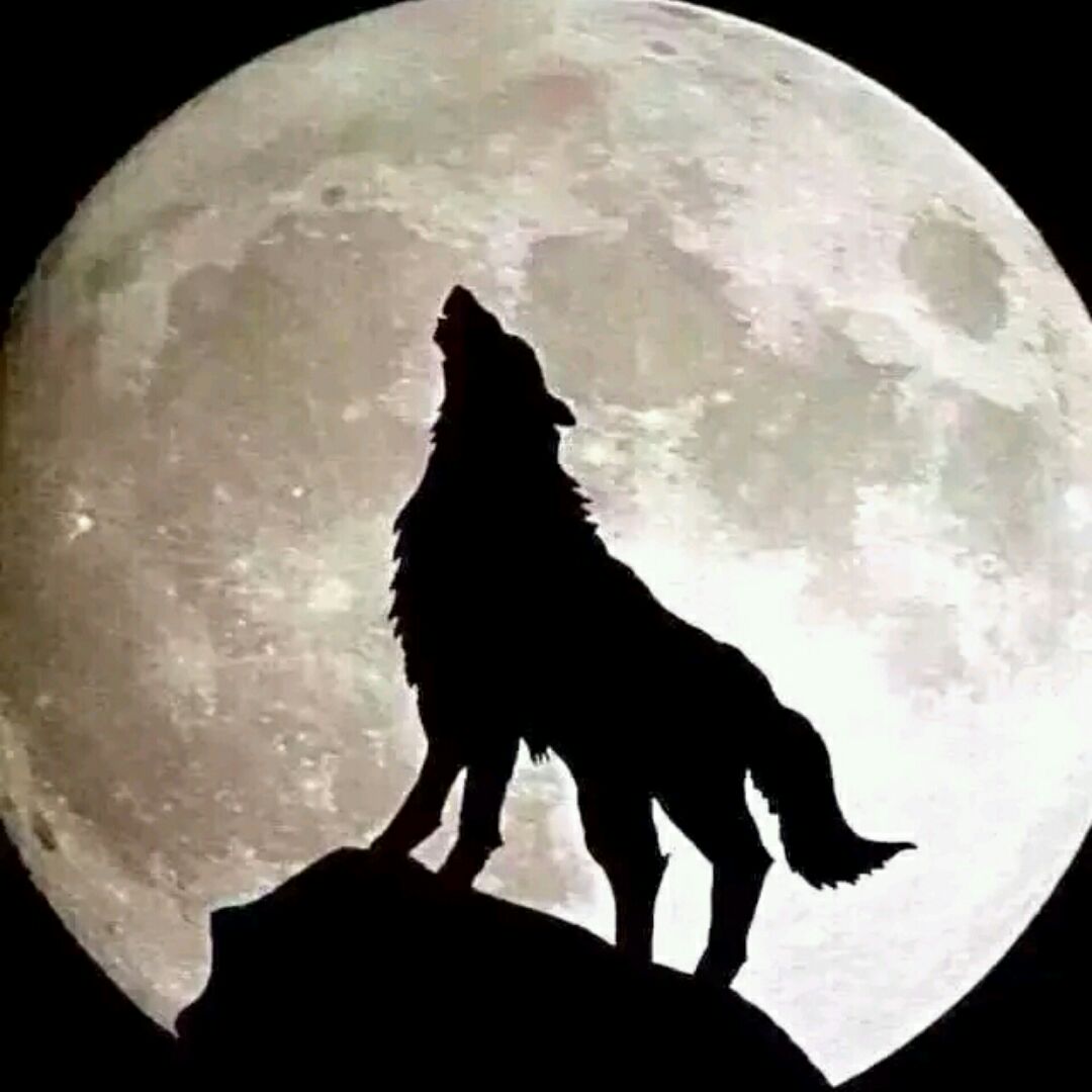 罗家塬村电子商务服务站