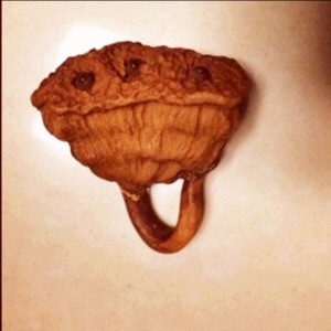 江河之水天上来