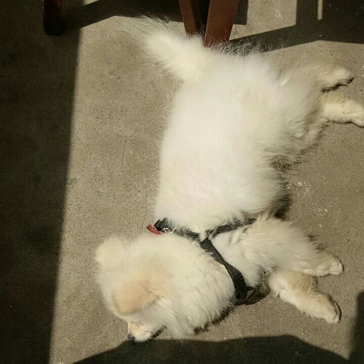 小屁孩就是我2223