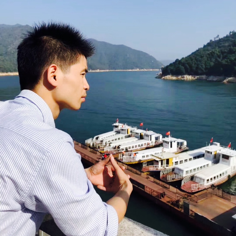 一只面向大海的猫