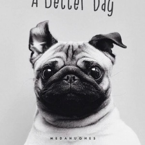 九狸最友善亚伟