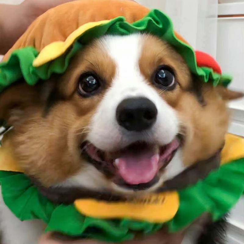 哪里有矿我想挖