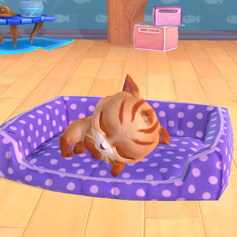 樱桃红的水仙瓣