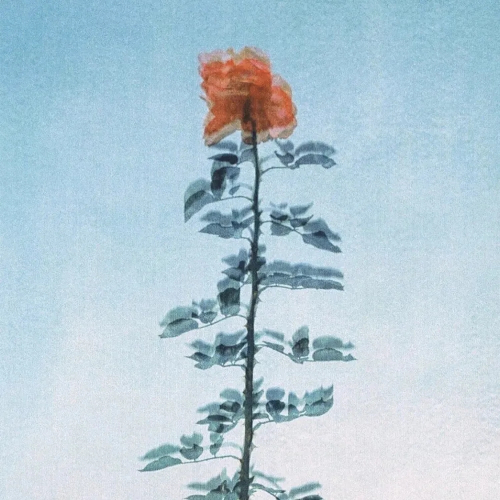 我今天有点帅^-^