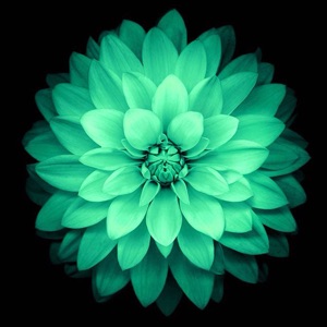 莱阳市程前推拿