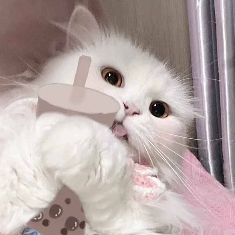 君君好好笨笨笨笨