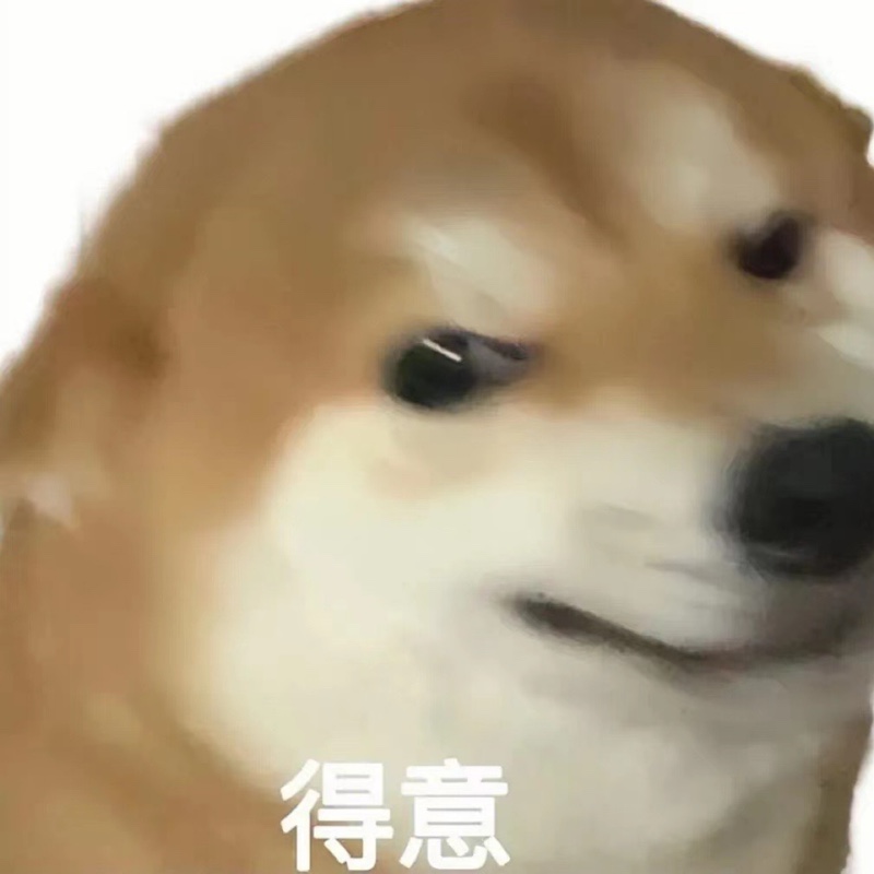 不许发韵达中通