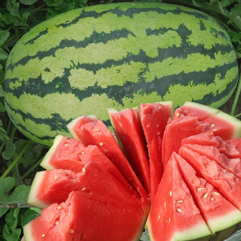 西瓜