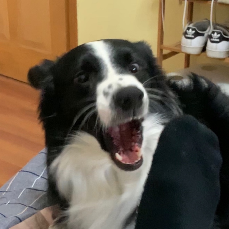 睡不够穿不暖吃的撑