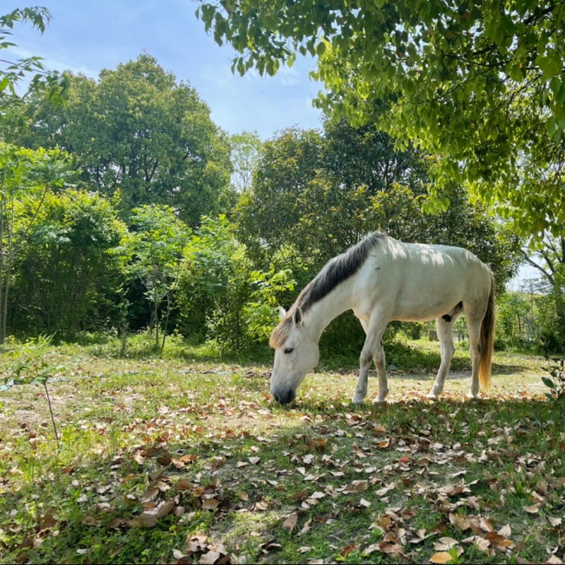 我一定要成功911929