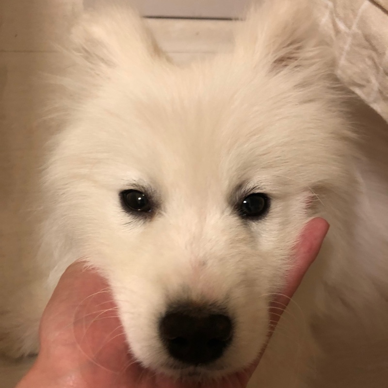 人生何处不相逢