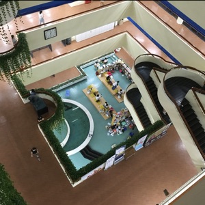 我的大学，我的奋斗