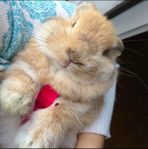 娇娇的妈妈吧啦吧啦