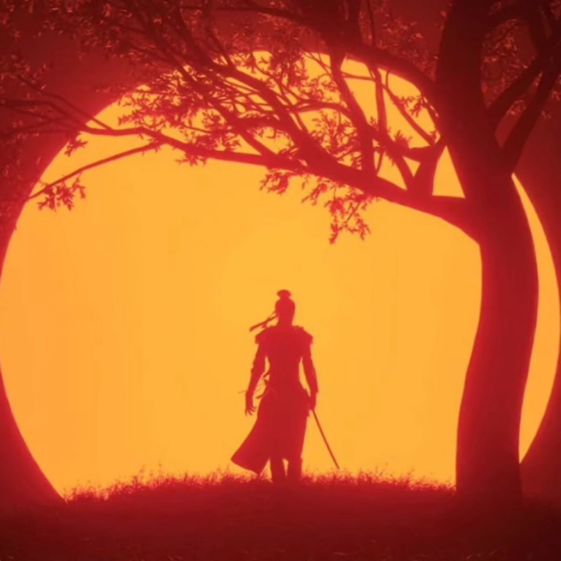 吃橙子的皮皮牛93