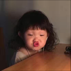 深情不及久伴哇