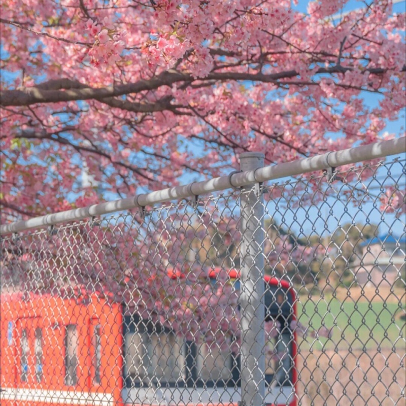 ?可爱的小精灵?